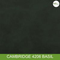 Cambridge 4206 Basil